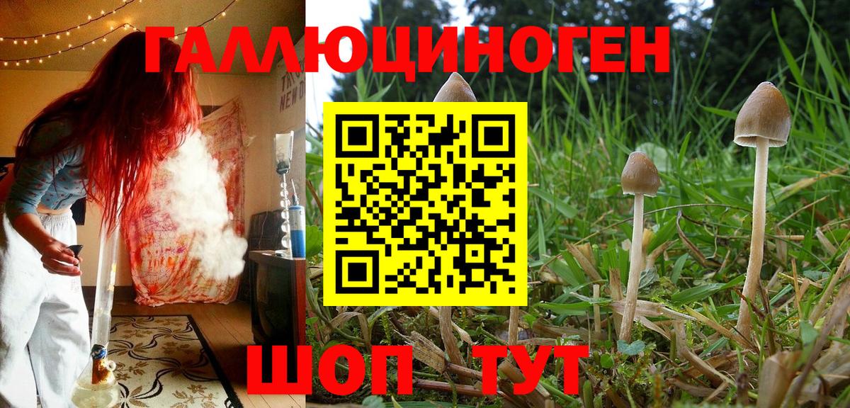 Сегежа  Псилоцибиновые грибы GOLDEN TEACHER  Вход с VPN 